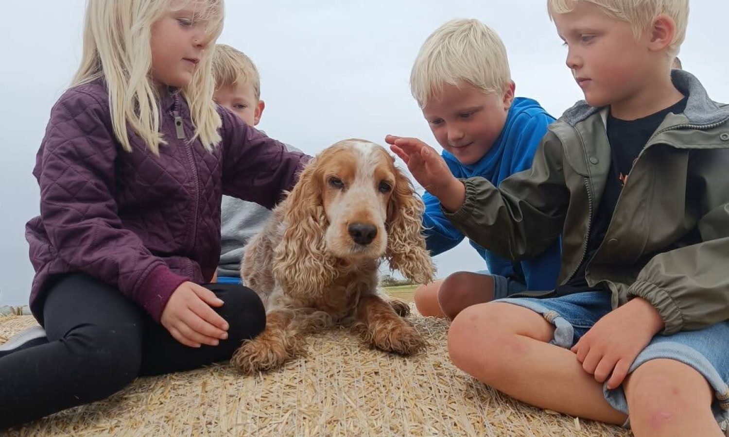 Gårdbesøg. Tid til en lille hyggestund.