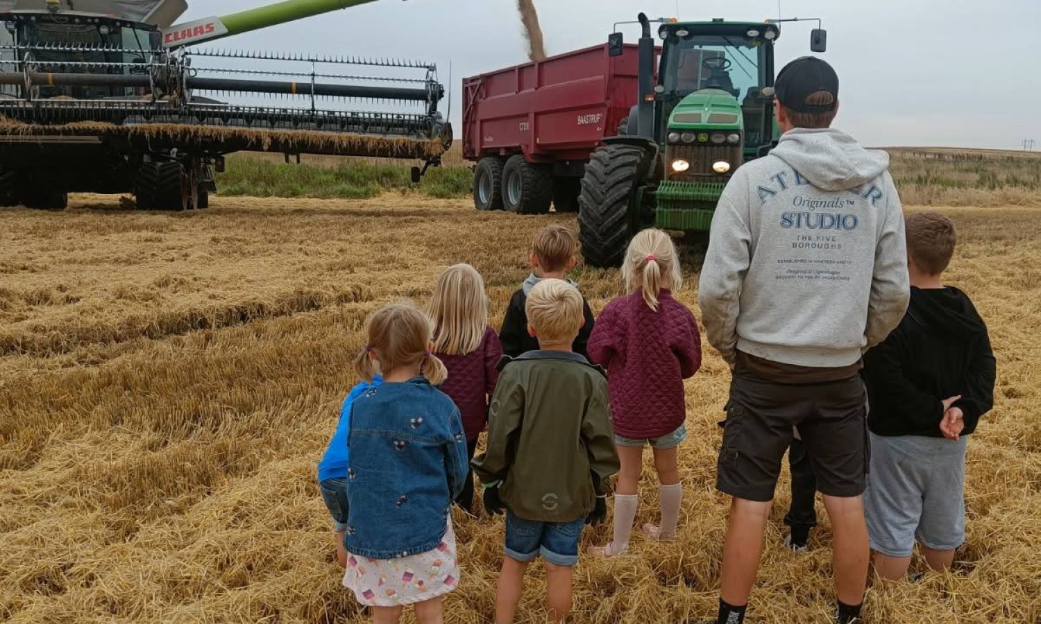 Børnehaveklassen inspicerer høstarbejdet.